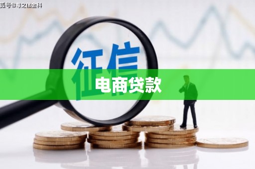 海原电商贷款