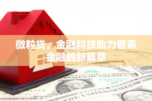 海原微粒贷，金融科技助力普惠金融的新篇章