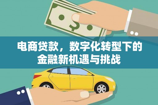海原电商贷款，数字化转型下的金融新机遇与挑战