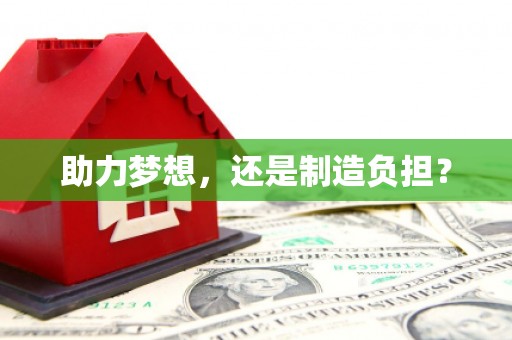 海原助力梦想，还是制造负担？
