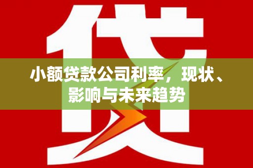 海原小额贷款公司利率，现状、影响与未来趋势