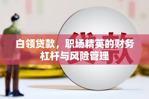 海原白领贷款，职场精英的财务杠杆与风险管理