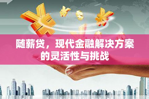 海原随薪贷，现代金融解决方案的灵活性与挑战
