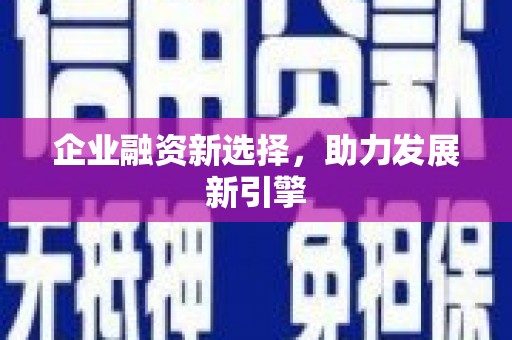 海原企业融资新选择，助力发展新引擎