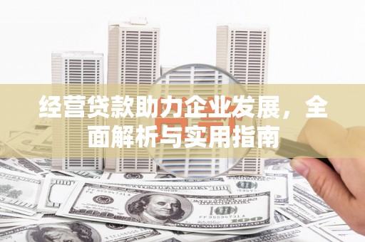 海原经营贷款助力企业发展，全面解析与实用指南