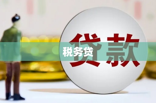 海原税务贷
