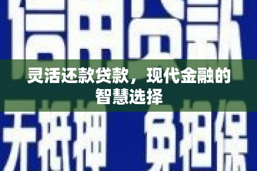 海原灵活还款贷款，现代金融的智慧选择