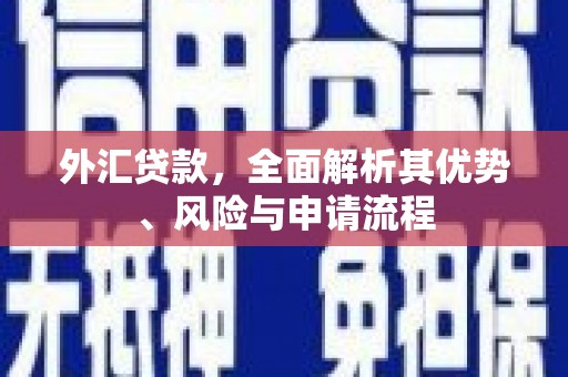 海原外汇贷款，全面解析其优势、风险与申请流程