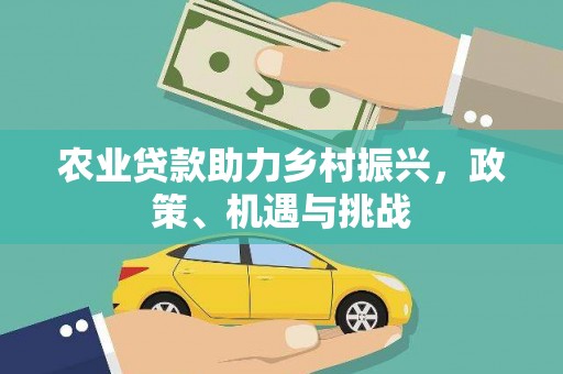 海原农业贷款助力乡村振兴，政策、机遇与挑战
