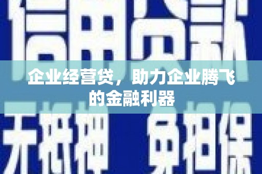 海原企业经营贷，助力企业腾飞的金融利器