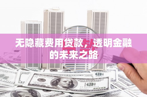 海原无隐藏费用贷款，透明金融的未来之路