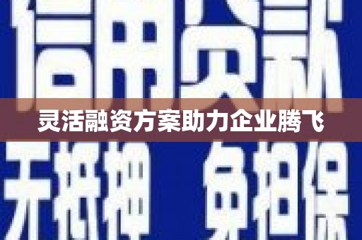 海原灵活融资方案助力企业腾飞