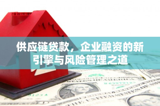 海原供应链贷款，企业融资的新引擎与风险管理之道