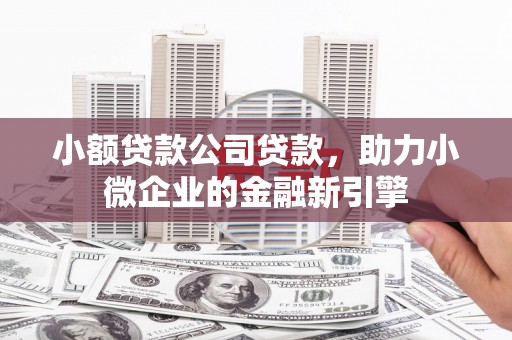 海原小额贷款公司贷款，助力小微企业的金融新引擎