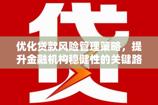 海原优化贷款风险管理策略，提升金融机构稳健性的关键路径
