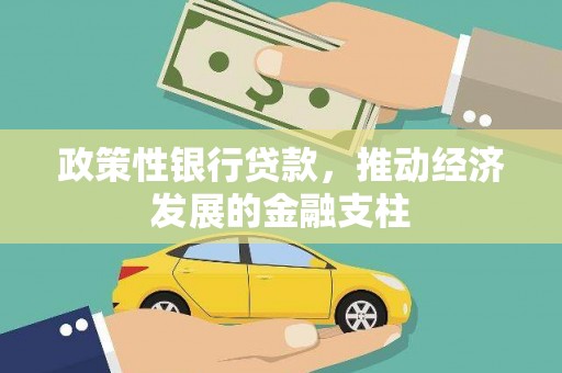 海原政策性银行贷款，推动经济发展的金融支柱