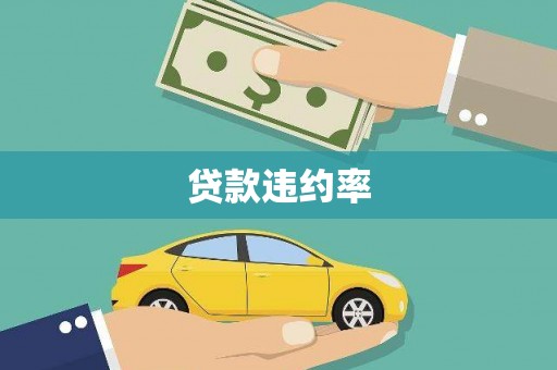 海原贷款违约率