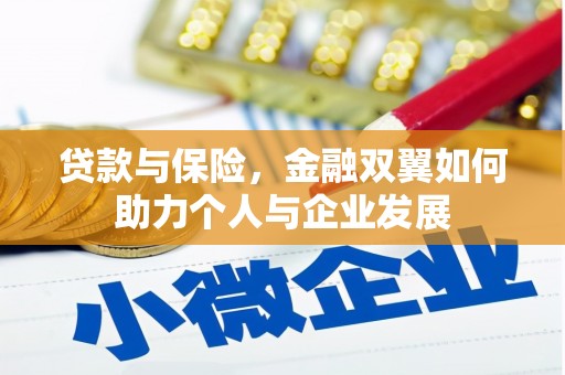 海原贷款与保险，金融双翼如何助力个人与企业发展