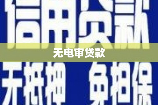 海原无电审贷款