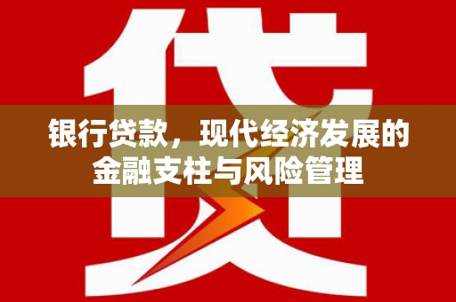 海原银行贷款，现代经济发展的金融支柱与风险管理