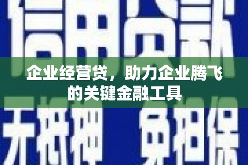 海原企业经营贷，助力企业腾飞的关键金融工具