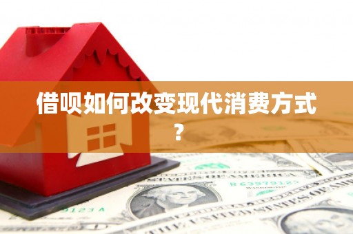 海原借呗如何改变现代消费方式？