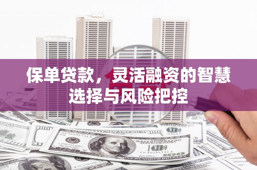 海原保单贷款，灵活融资的智慧选择与风险把控