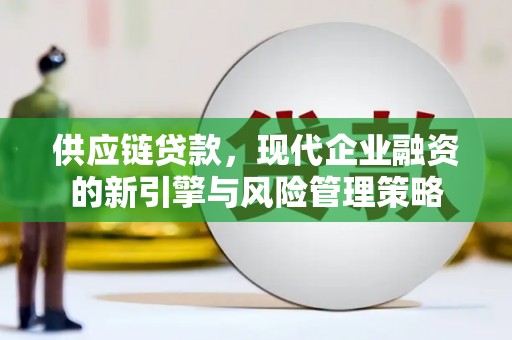 海原供应链贷款，现代企业融资的新引擎与风险管理策略