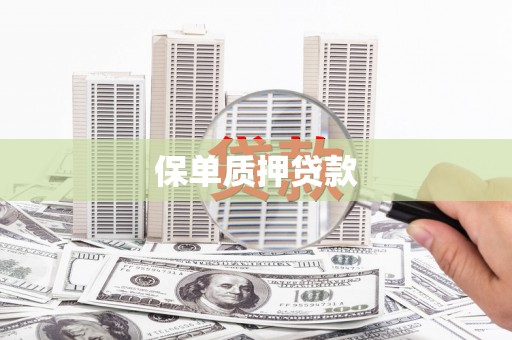 海原保单质押贷款