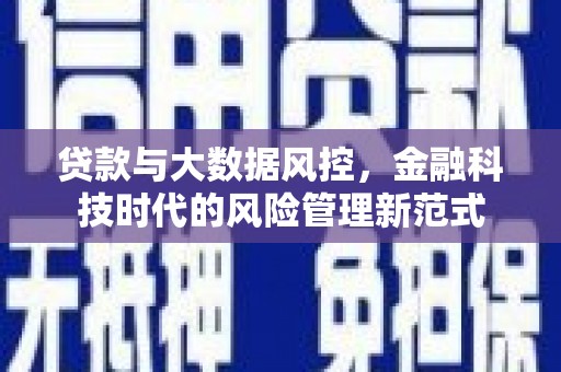 海原贷款与大数据风控，金融科技时代的风险管理新范式