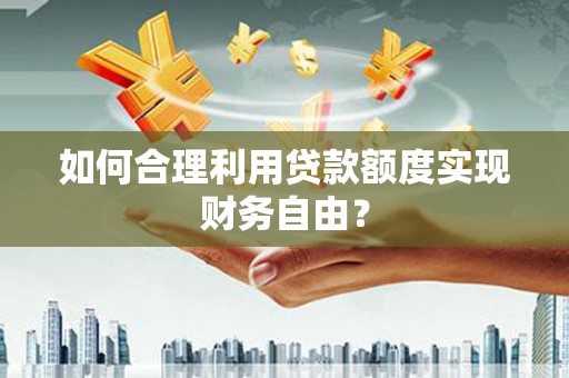 海原如何合理利用贷款额度实现财务自由？