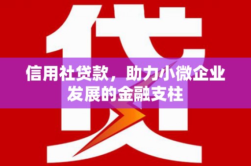 海原信用社贷款，助力小微企业发展的金融支柱