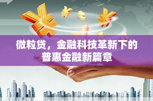 海原微粒贷，金融科技革新下的普惠金融新篇章