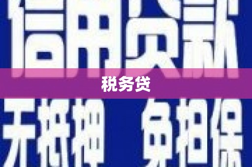 海原税务贷