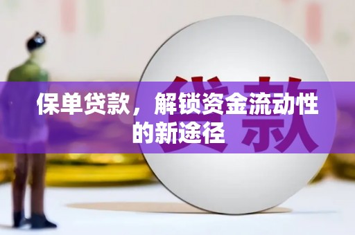 海原保单贷款，解锁资金流动性的新途径
