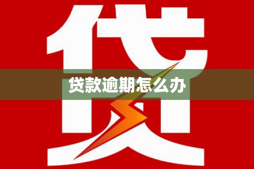 海原贷款逾期怎么办