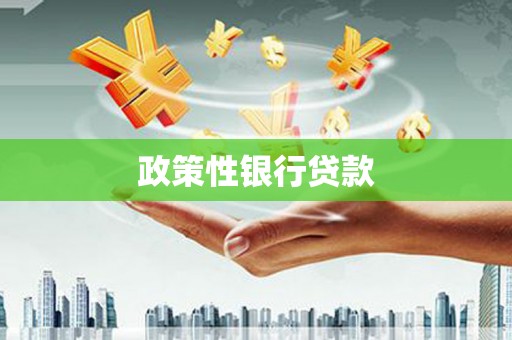 海原政策性银行贷款