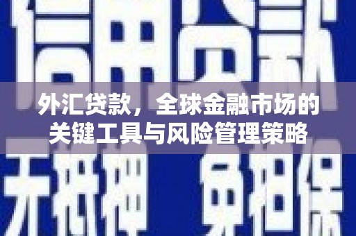 海原外汇贷款，全球金融市场的关键工具与风险管理策略