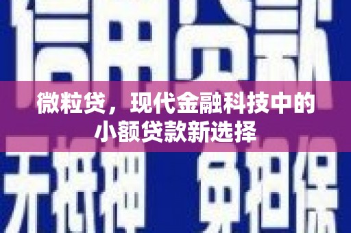 海原微粒贷，现代金融科技中的小额贷款新选择