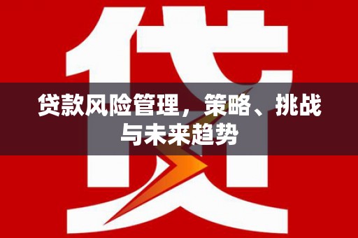 海原贷款风险管理，策略、挑战与未来趋势