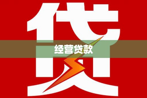 海原经营贷款
