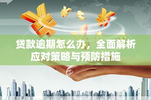 海原贷款逾期怎么办，全面解析应对策略与预防措施