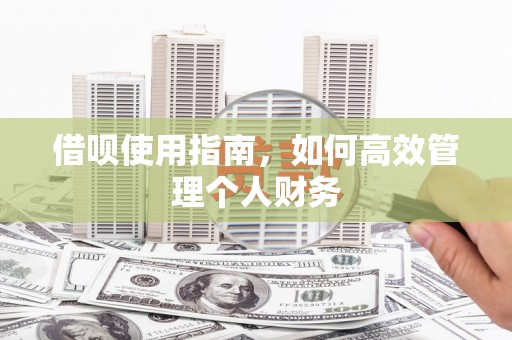 海原借呗使用指南，如何高效管理个人财务