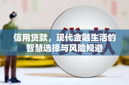 海原信用贷款，现代金融生活的智慧选择与风险规避