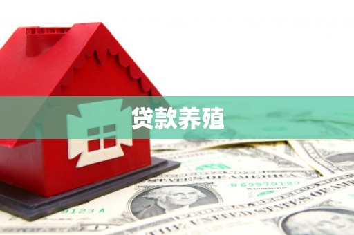 海原贷款养殖