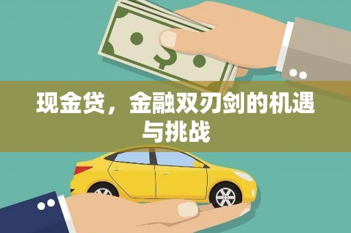 海原现金贷，金融双刃剑的机遇与挑战