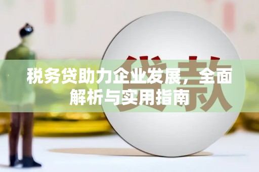海原税务贷助力企业发展，全面解析与实用指南