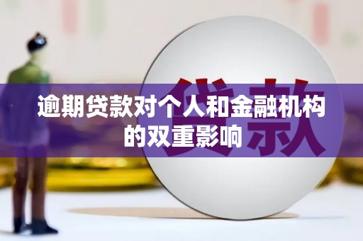 海原逾期贷款对个人和金融机构的双重影响