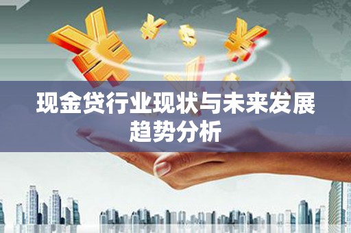 海原现金贷行业现状与未来发展趋势分析