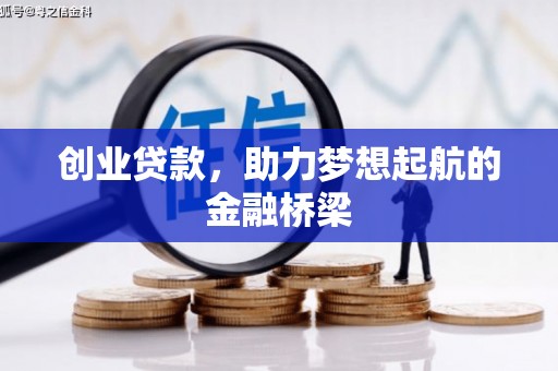 海原创业贷款，助力梦想起航的金融桥梁